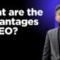 What are the Advantages of SEO?